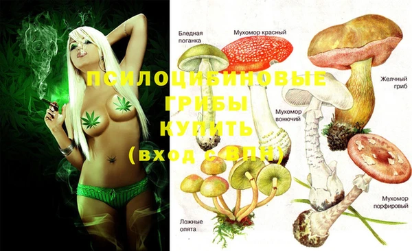 гашиш Осинники