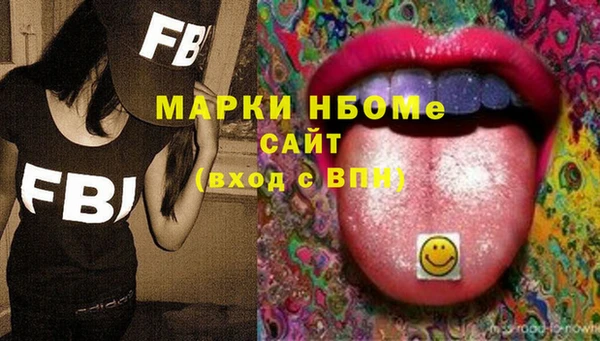 твердый Няндома