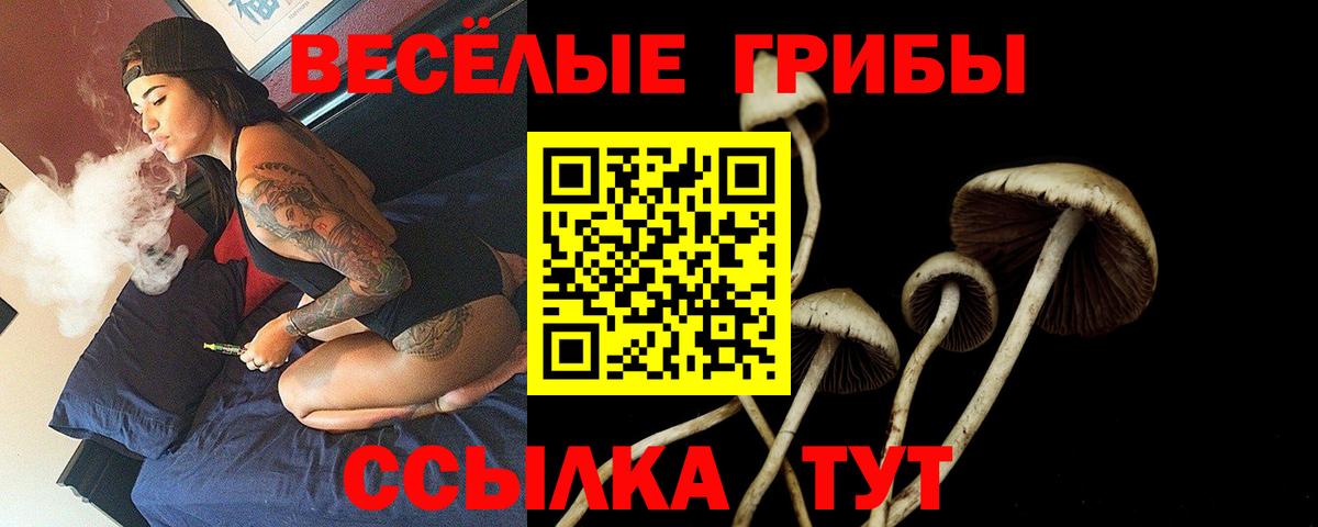 Уварово  Псилоцибиновые грибы MAGIC MUSHROOMS  Вход с VPN 